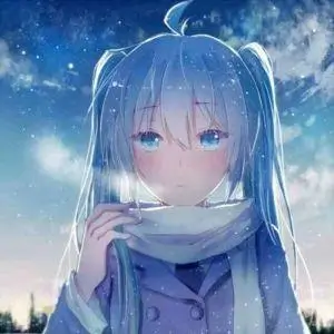 用户 追番的小林 头像